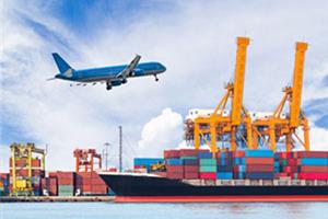import business